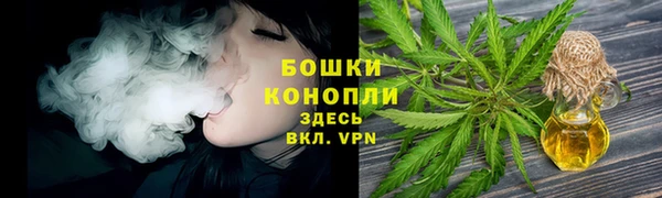 твердый Богданович