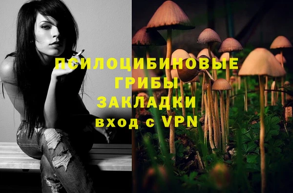 соль ск Белоозёрский