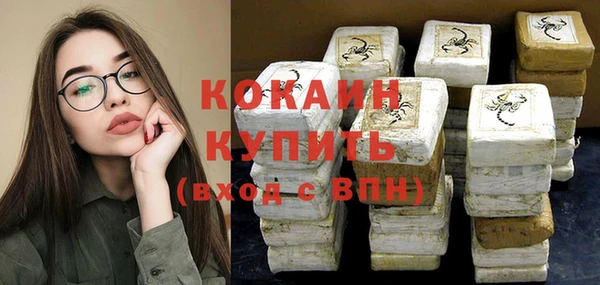 твердый Богданович