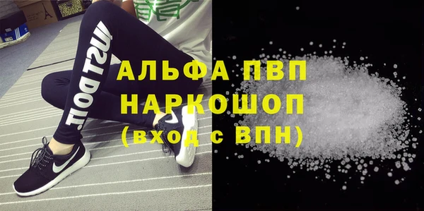 твердый Богданович
