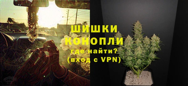 твердый Богданович
