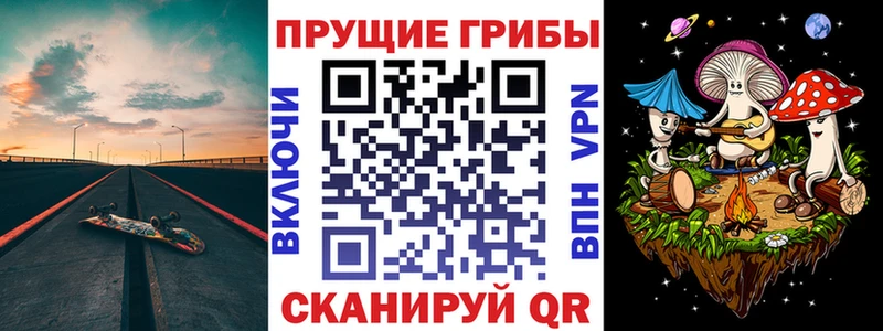 купить   Вязники  ссылка на мегу ссылка  Галлюциногенные грибы ЛСД 