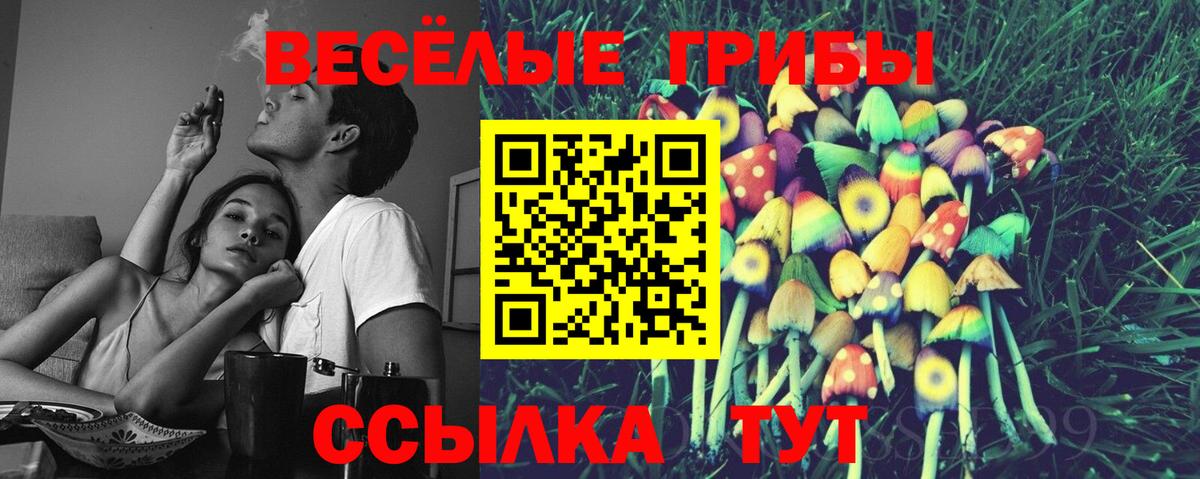 купить наркотик  Псилоцибиновые грибы GOLDEN TEACHER  Вход с VPN  Вязники 