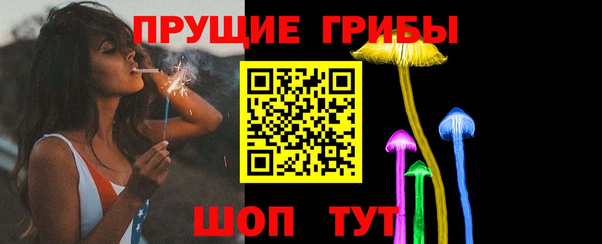 Галлюциногенные грибы Psilocybe Вязники